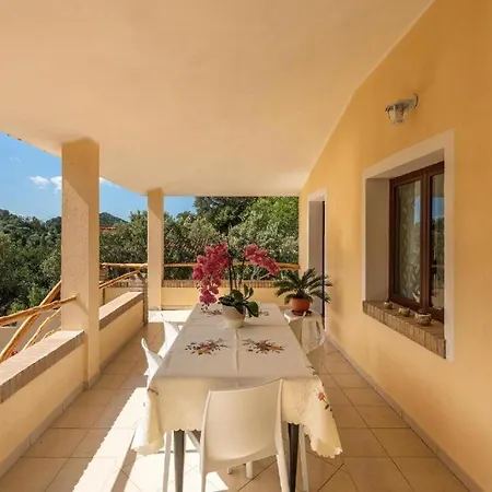 Apartment Platino *
